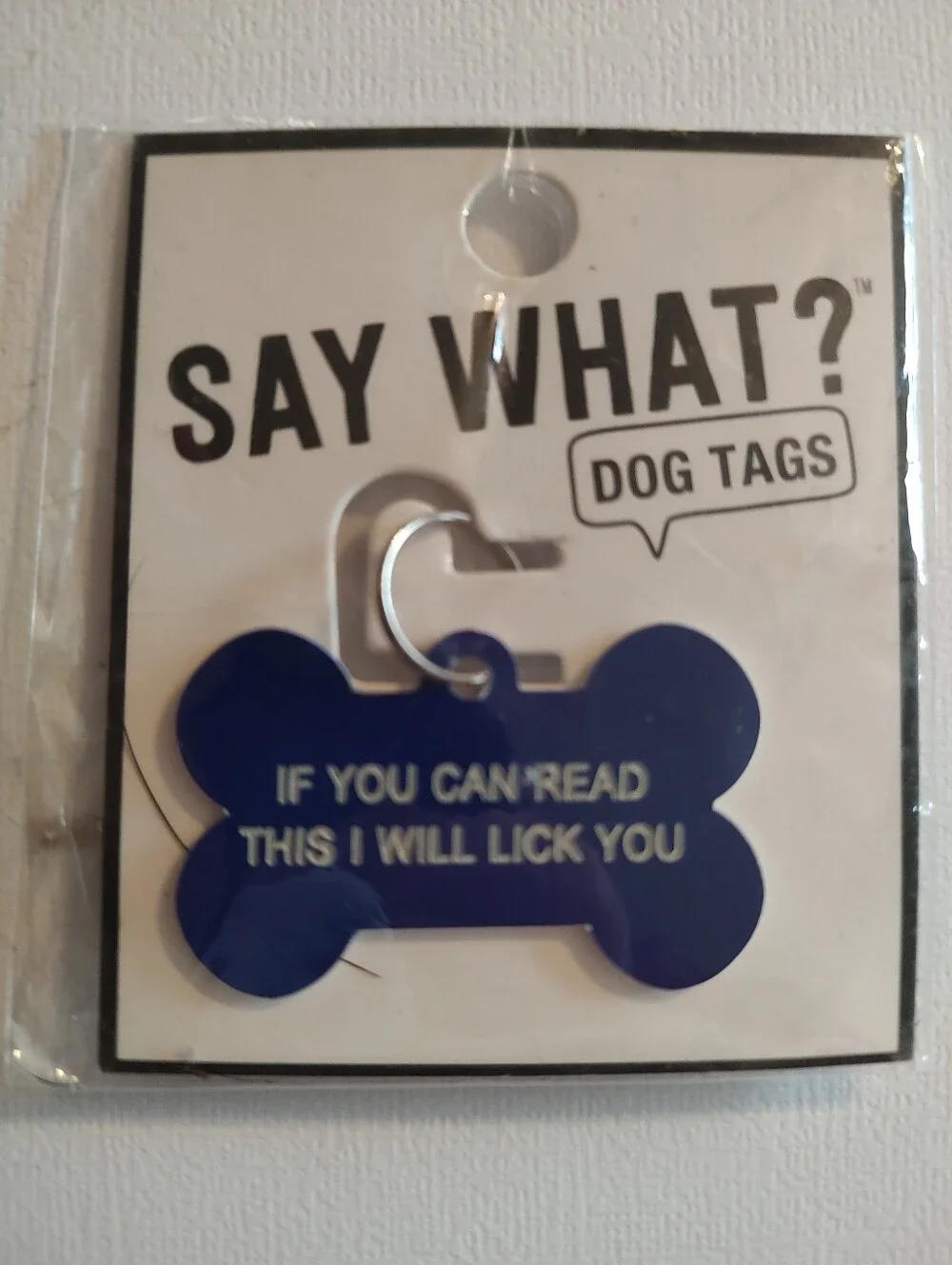 Say What? Blue Bone-Shaped Dog Tag with Playful Message